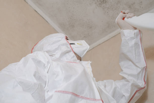 Mold Odor Removal Services in Ponca City, OK